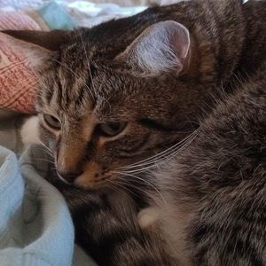 Meet your Posher, Alisha